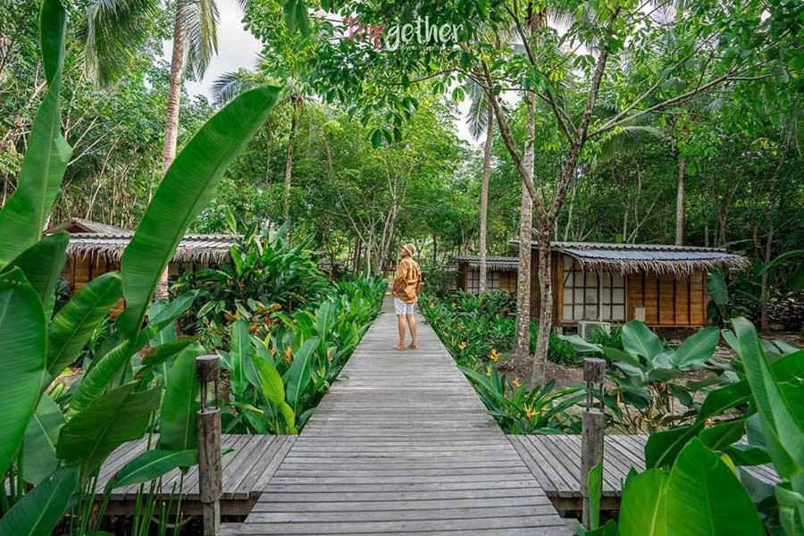 Tempat peranginan Jungle Koh Kood Ko Kut